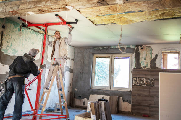 Best Eco-Friendly Insulation in Beech Island, SC