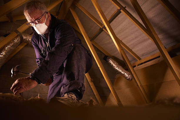 Best Residential Insulation in Beech Island, SC