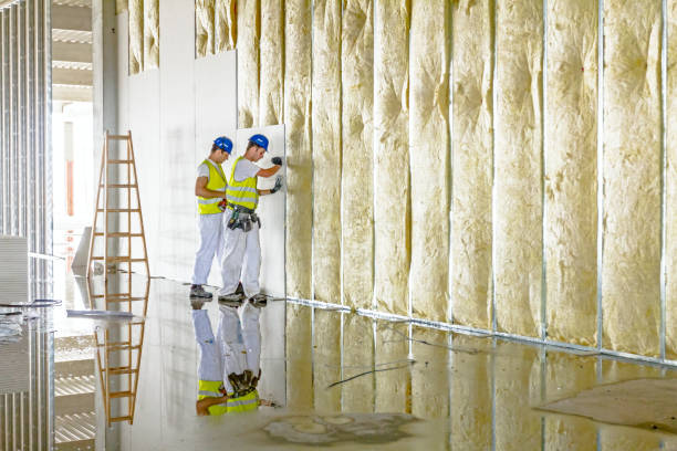 Types of Insulation We Offer in Beech Island, SC